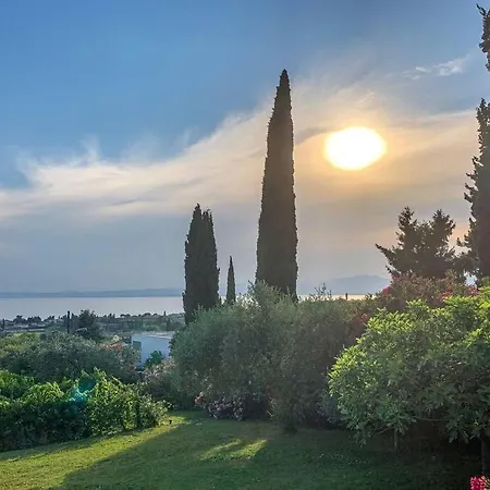 Delle Vigne