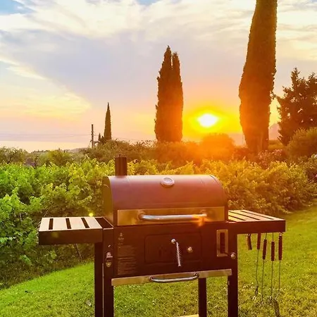 Delle Vigne *