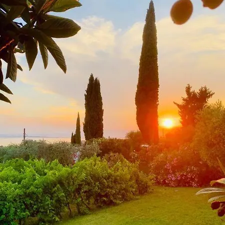 Villa Delle Vigne *