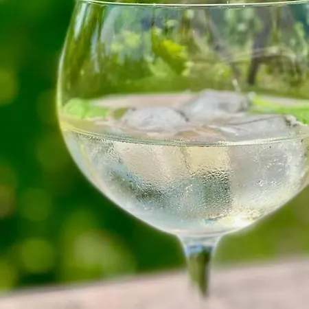 Delle Vigne Bardolino