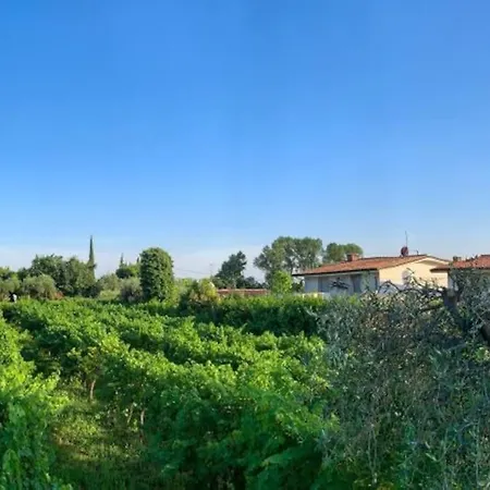 Delle Vigne Bardolino