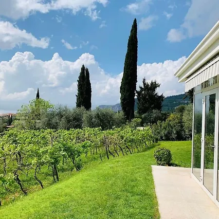 فيلة Delle Vigne